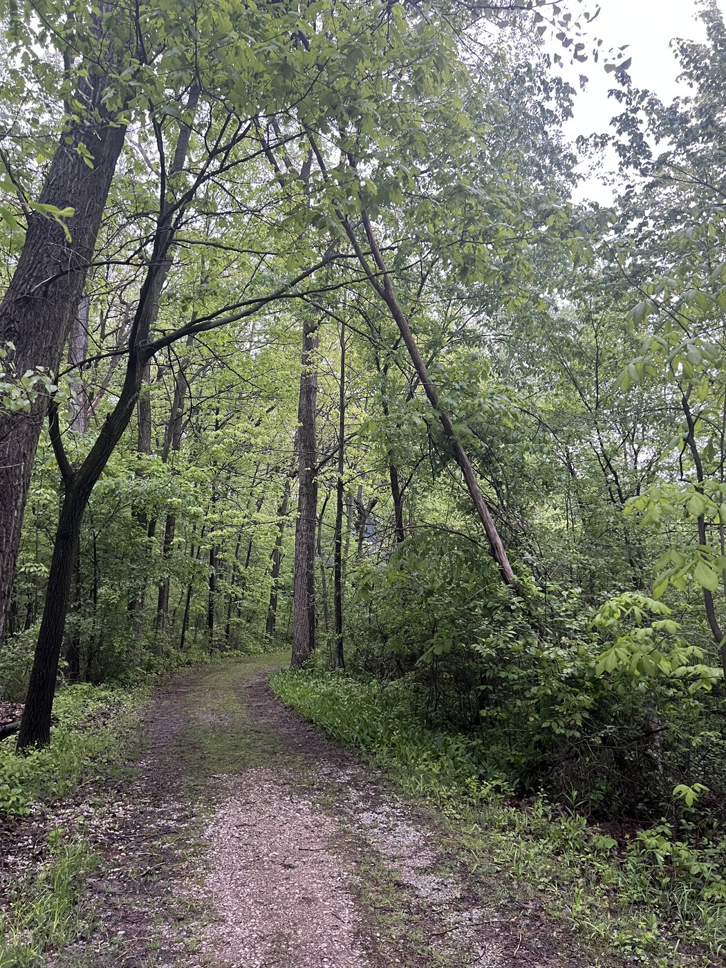 Tipsico Lake
